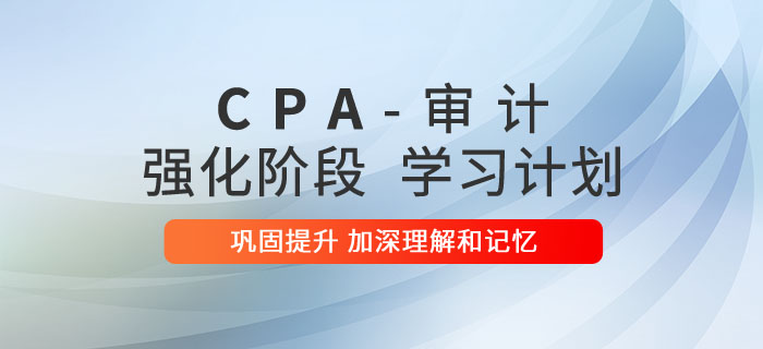 注会审计强化阶段学习计划 注会审计强化阶段学习计划