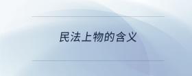 民法上物的含义