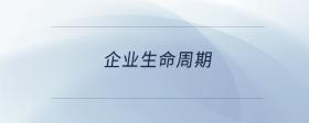 企业生命周期
