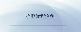 小型微利企业