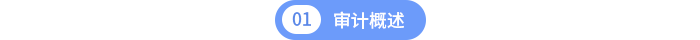 审计概述 审计概述