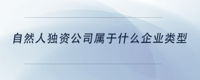 自然人独资公司属于什么企业类型