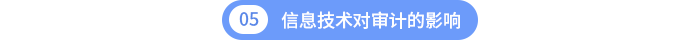 第五章信息技术对审计的影响 第五章信息技术对审计的影响