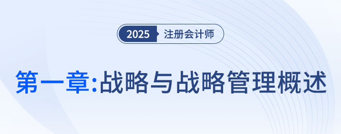 第一章战略与战略管理概述_25年注会战略习题随章演练 第一章战略与战略管理概述_25年注会战略习题随章演练