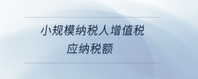 小规模纳税人增值税应纳税额