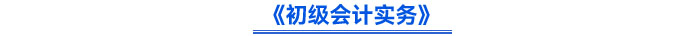 《初级会计实务》