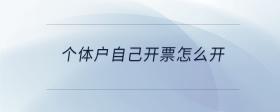 个体户自己开票怎么开