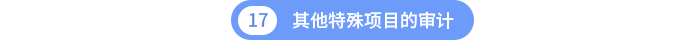 其他特殊项目的审计 其他特殊项目的审计