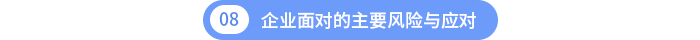第八章:企业面对的主要风险与应对 第八章:企业面对的主要风险与应对