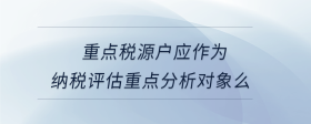 重点税源户应作为纳税评估重点分析对象么