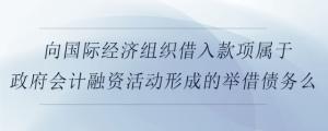 向国际经济组织借入款项属于政府会计融资活动形成的举借债务么